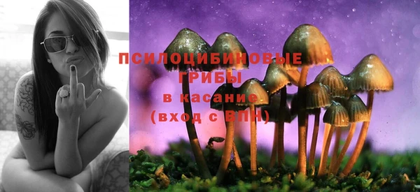 герыч Алексин